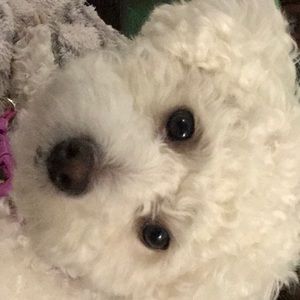 Meet your Posher, Wendy